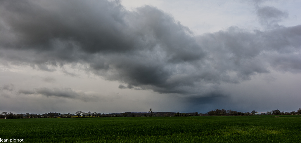 paysage de plaine.JPG