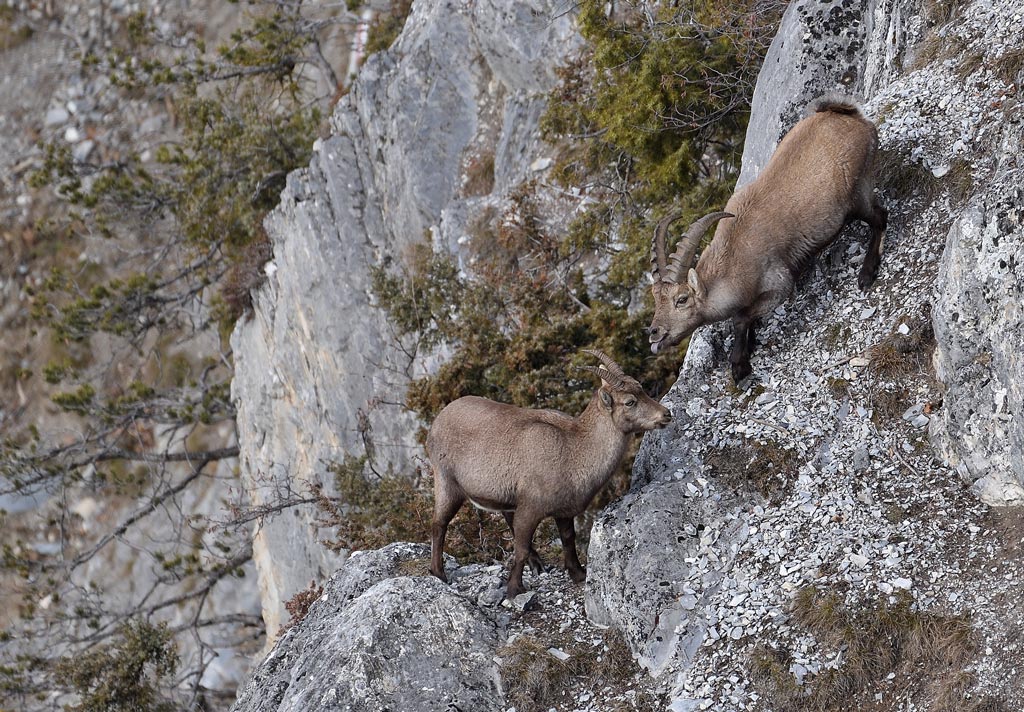 DS5_6967.jpg