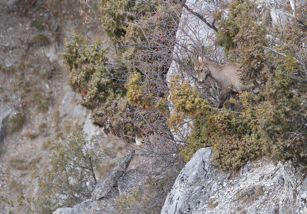 DS5_6997.jpg