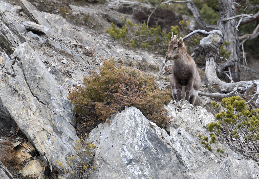DS5_7026.jpg