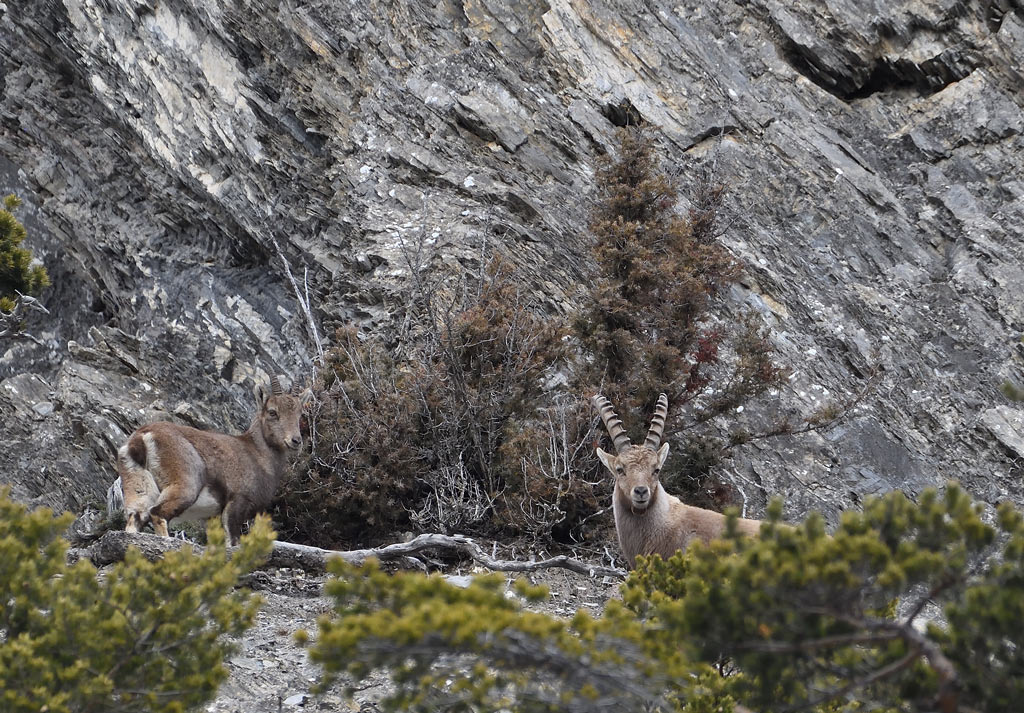 DS5_7031.jpg