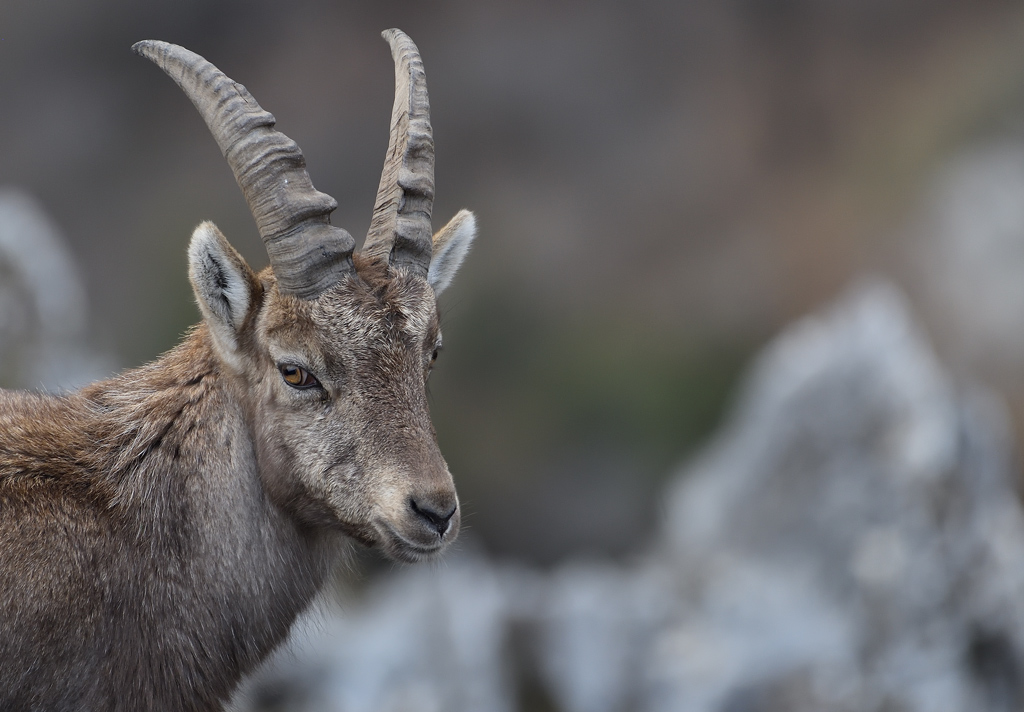 DS5_7047.jpg