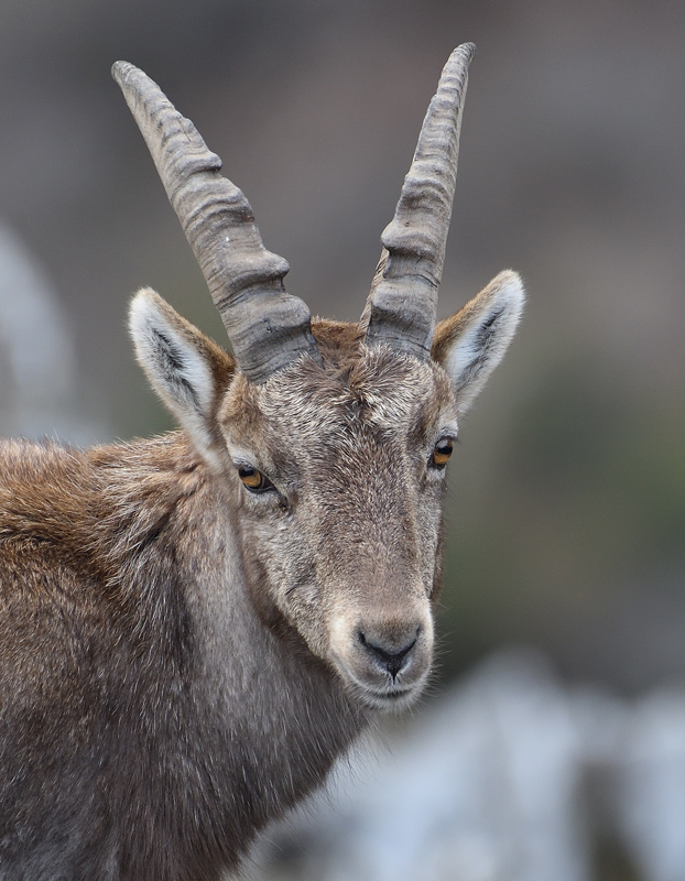 DS5_7052.jpg