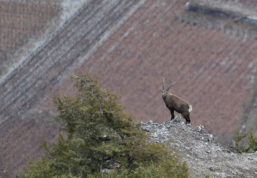 DS5_7054.jpg
