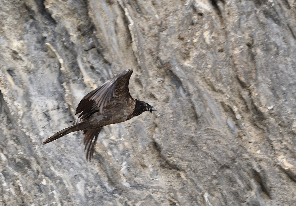 DS5_7077.jpg
