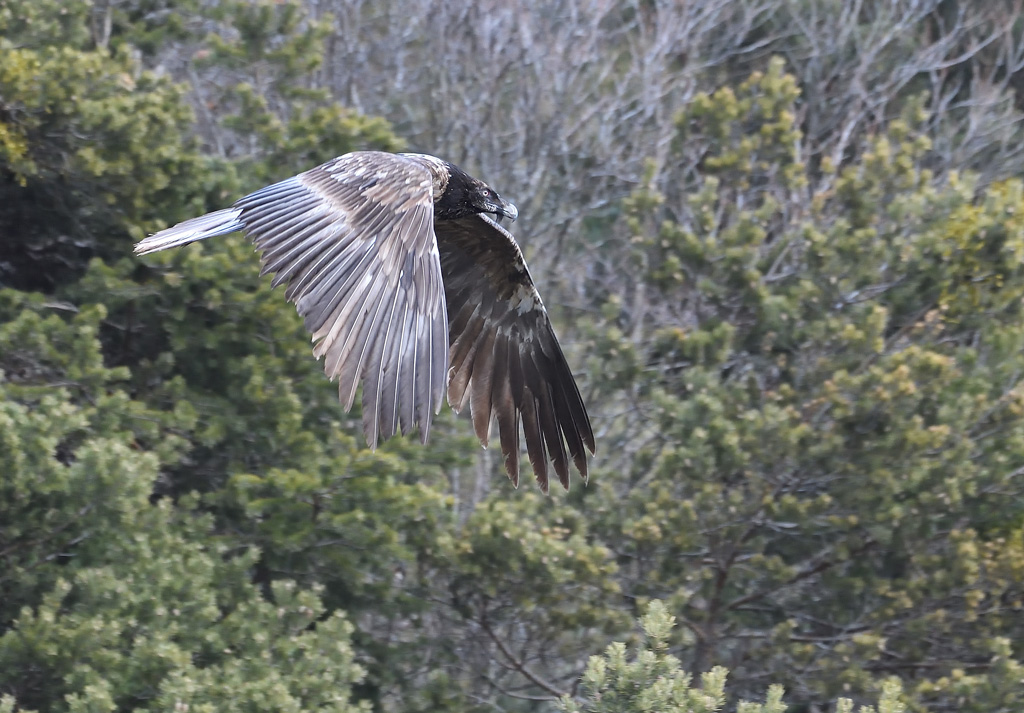 DS5_7080.jpg