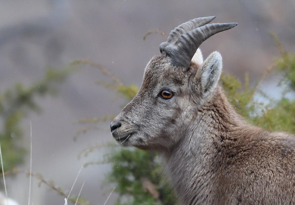 DS5_7099.jpg