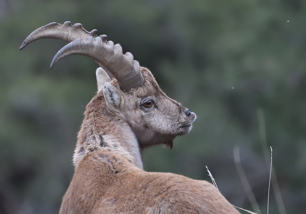 DS5_7101.jpg