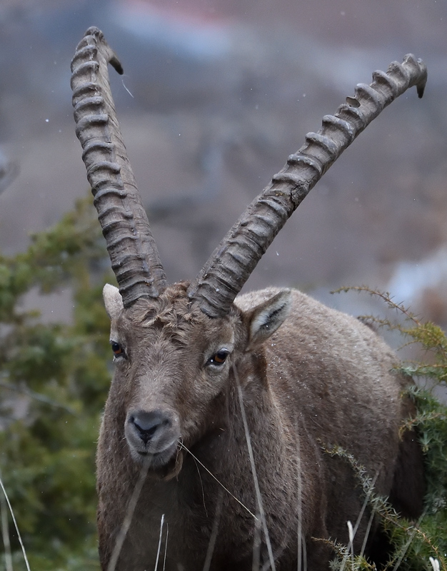 DS5_7123.jpg