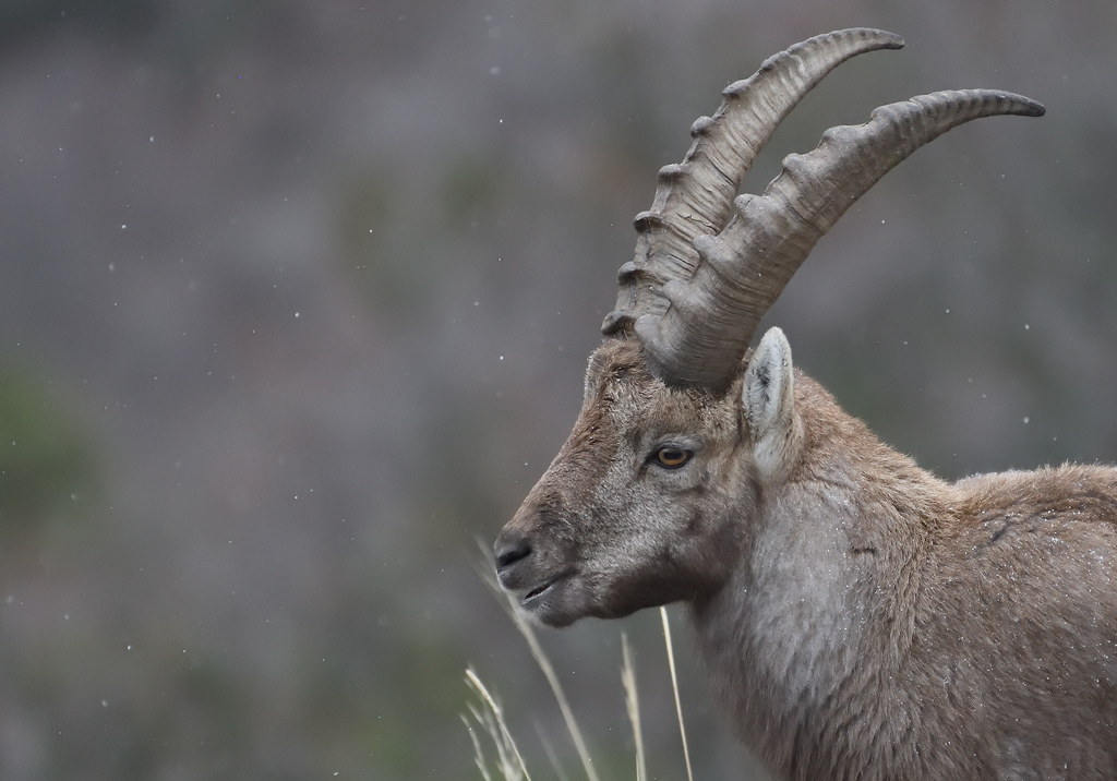 DS5_7126.jpg