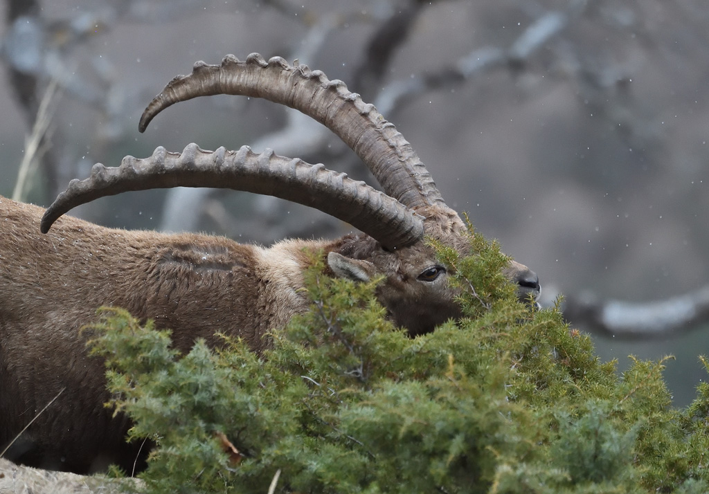 DS5_7128.jpg