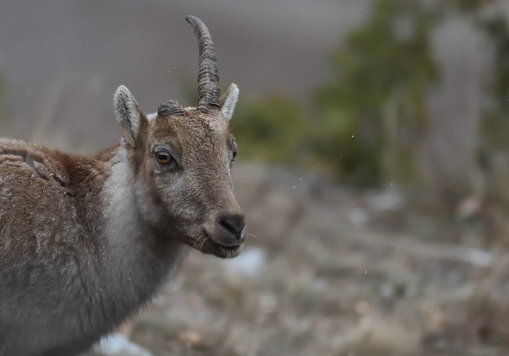 DS5_7134.jpg