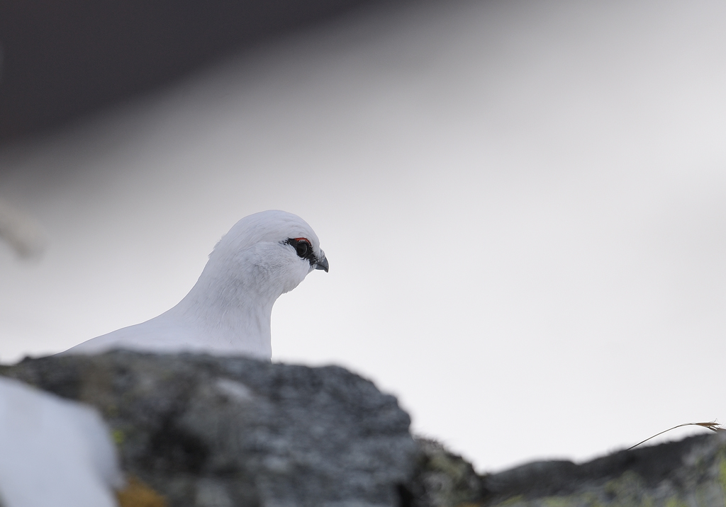 DS5_4948.jpg