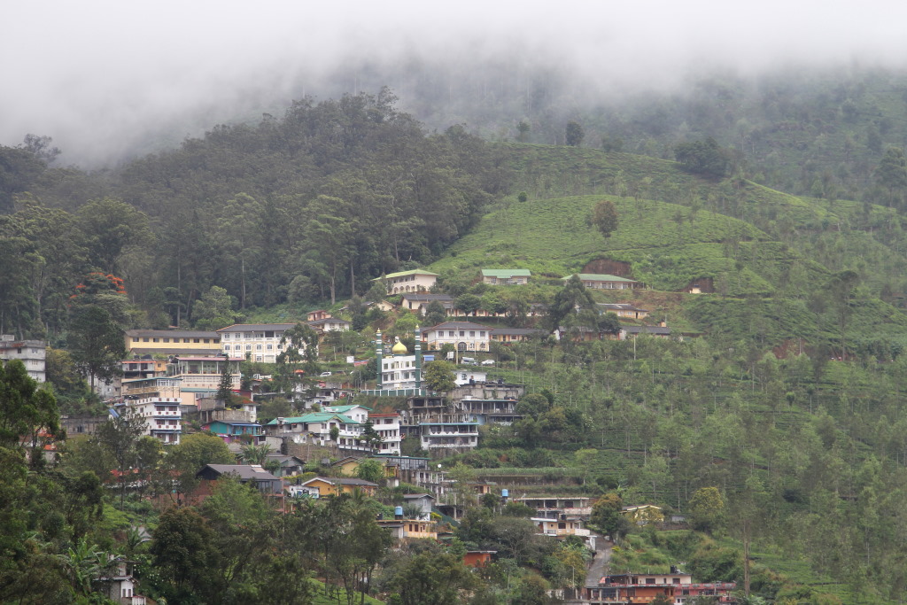 102 Village.jpg
