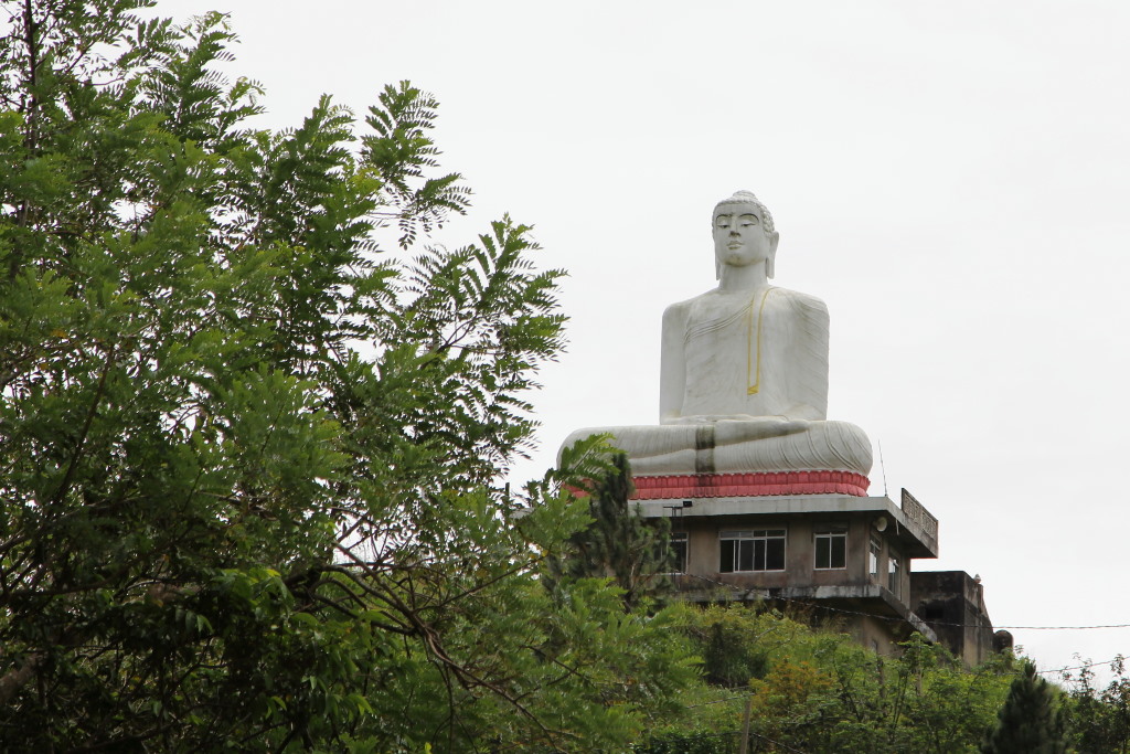 103 Boudha.jpg