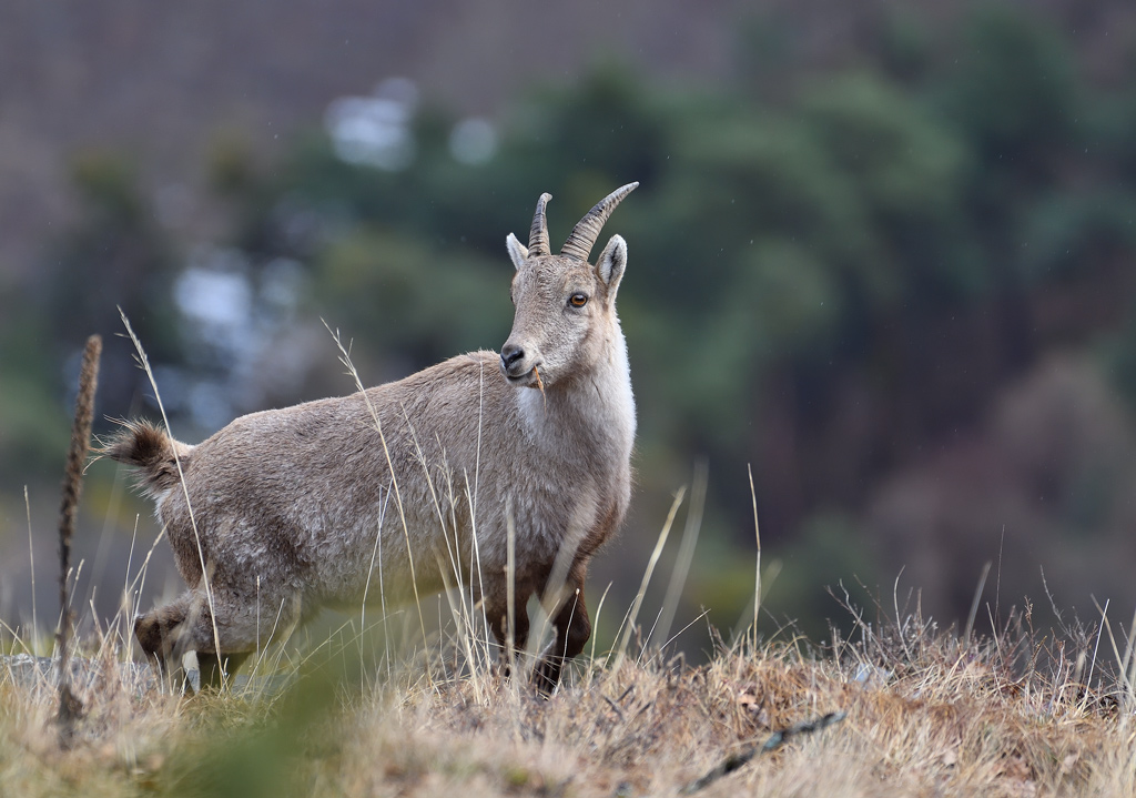 DS5_7147.jpg