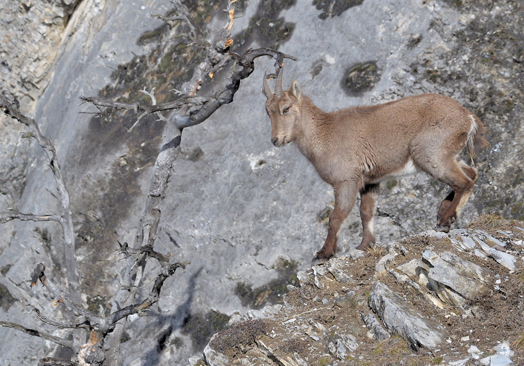DS5_7163.jpg