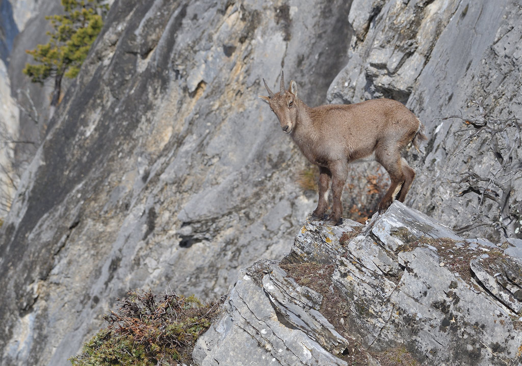 DS5_7169.jpg