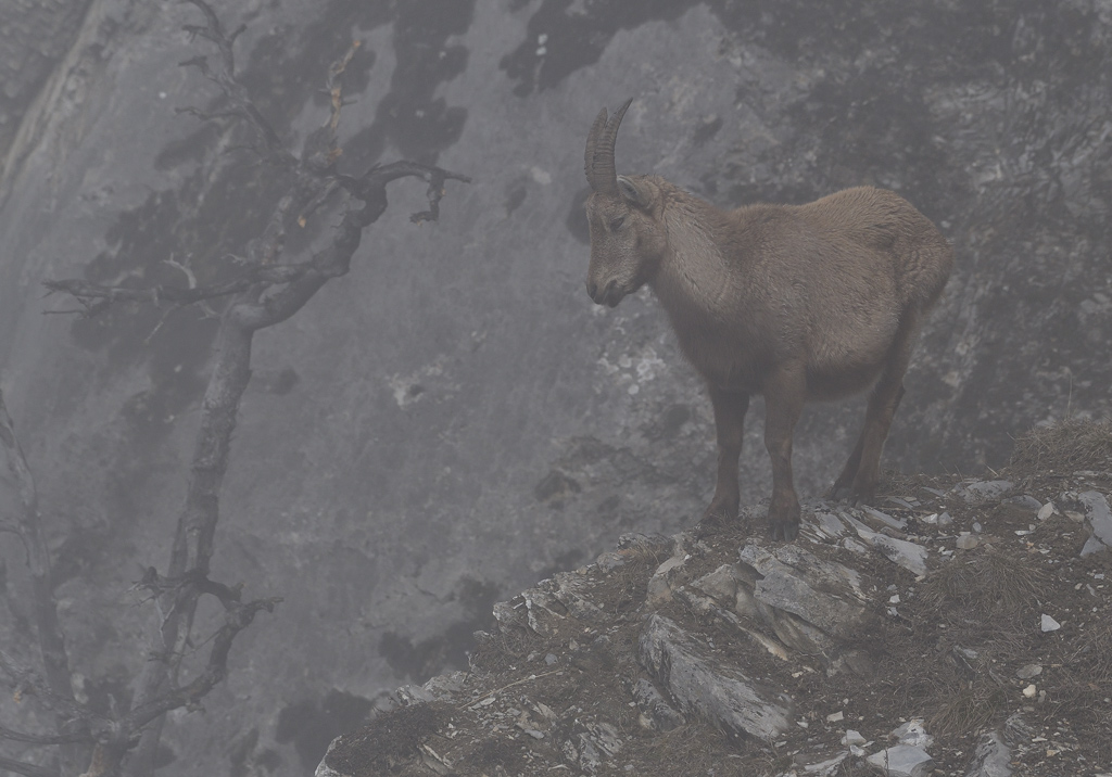 DS5_7178.jpg