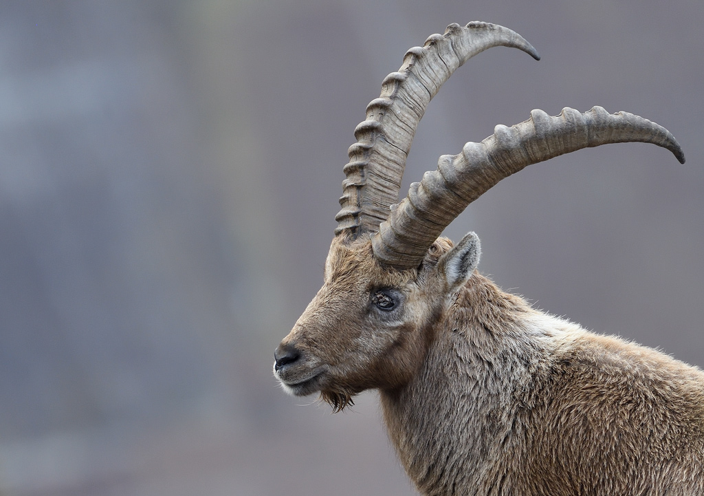 DS5_7201.jpg