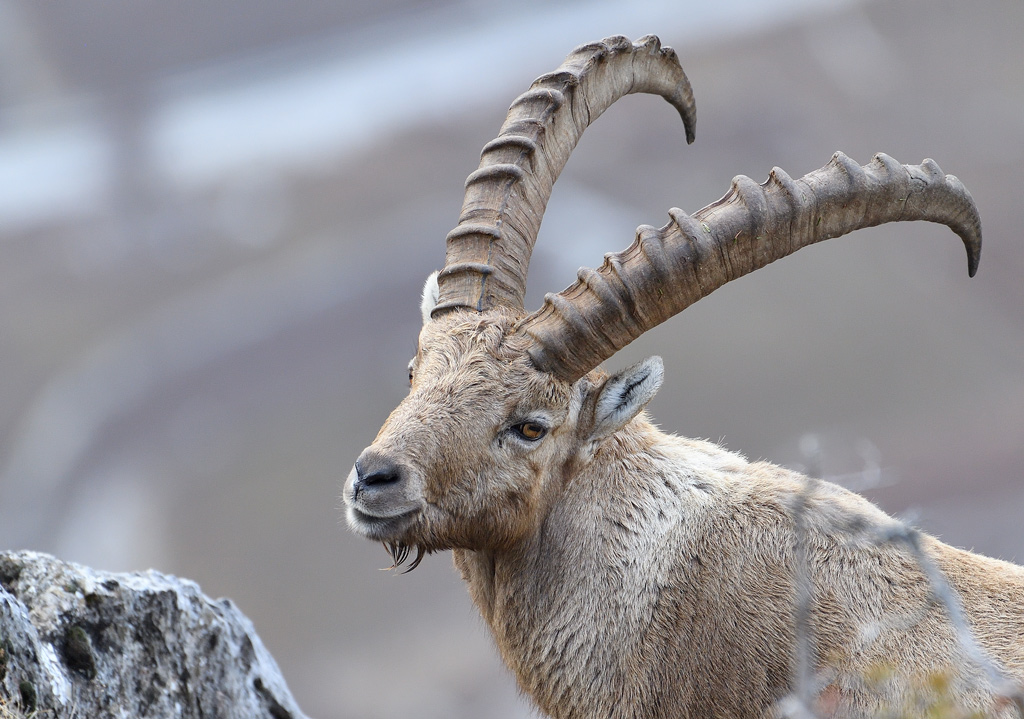 DS5_7204.jpg
