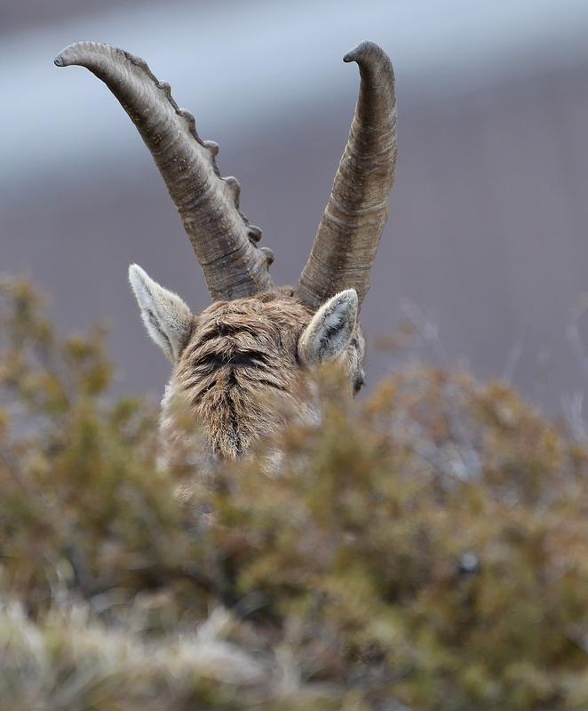 DS5_7206.jpg