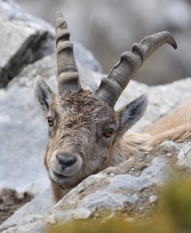 DS5_7213.jpg
