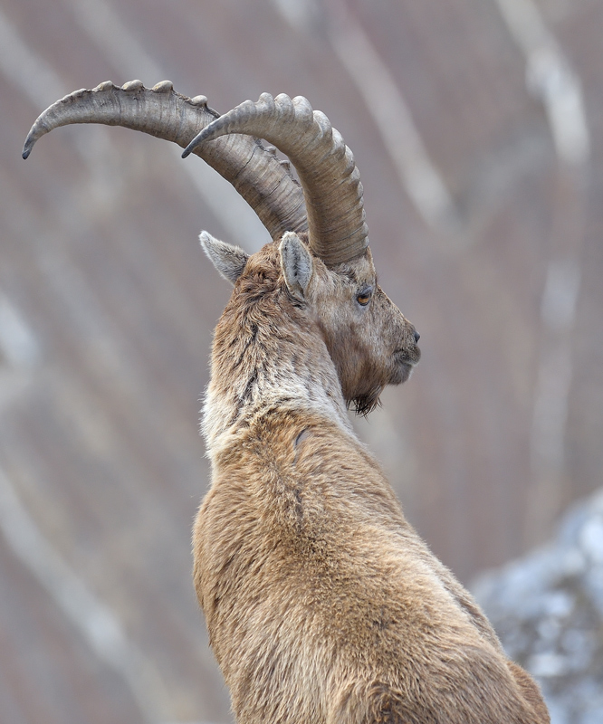 DS5_7221.jpg