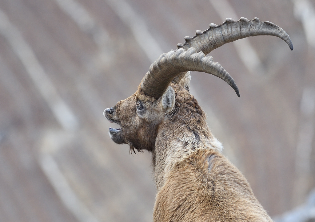 DS5_7223.jpg