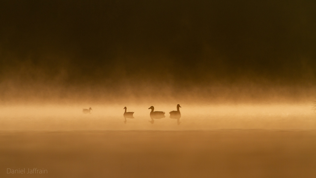 Image et Nature-1-42.jpg