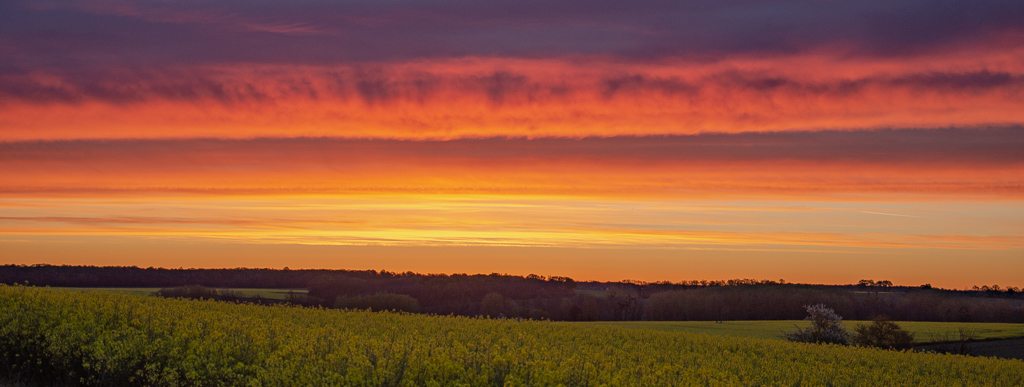 Levé de soleil.jpg