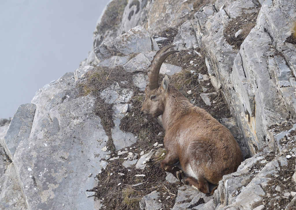 DS5_7231.jpg