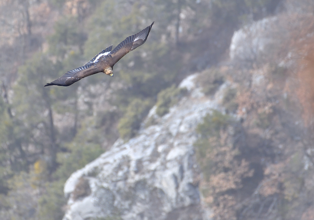 DS5_7235.jpg