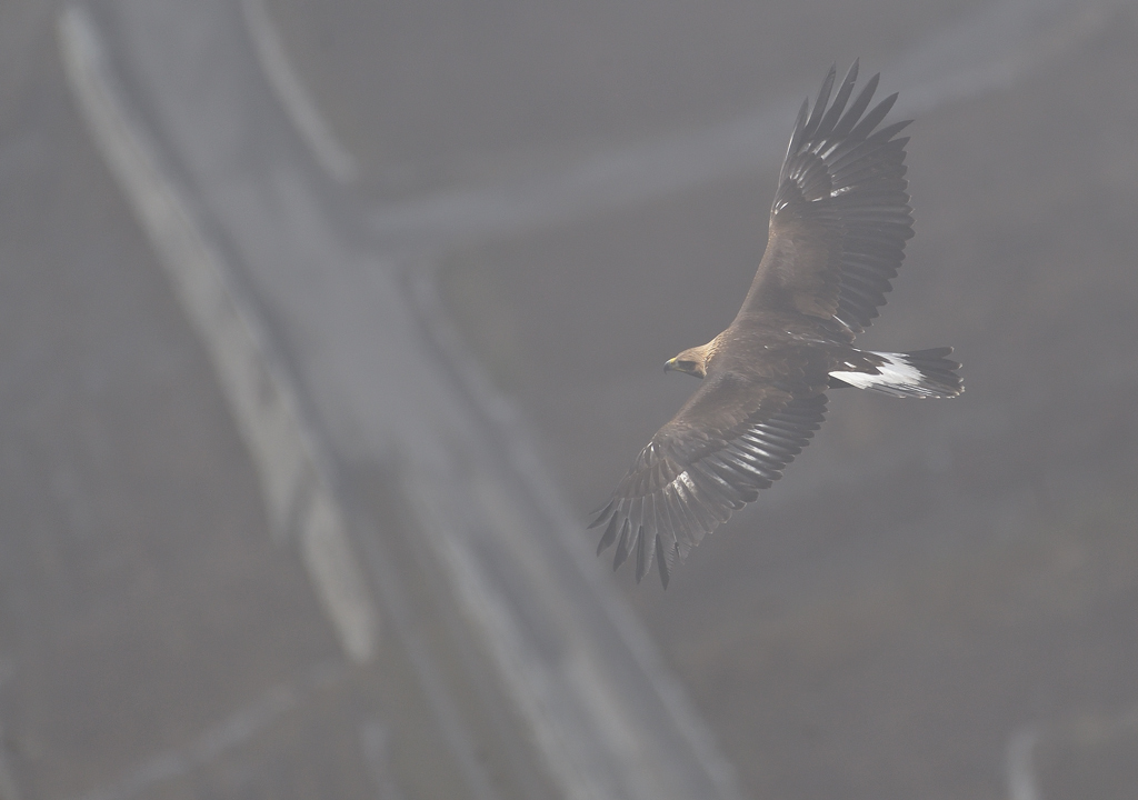 DS5_7244.jpg