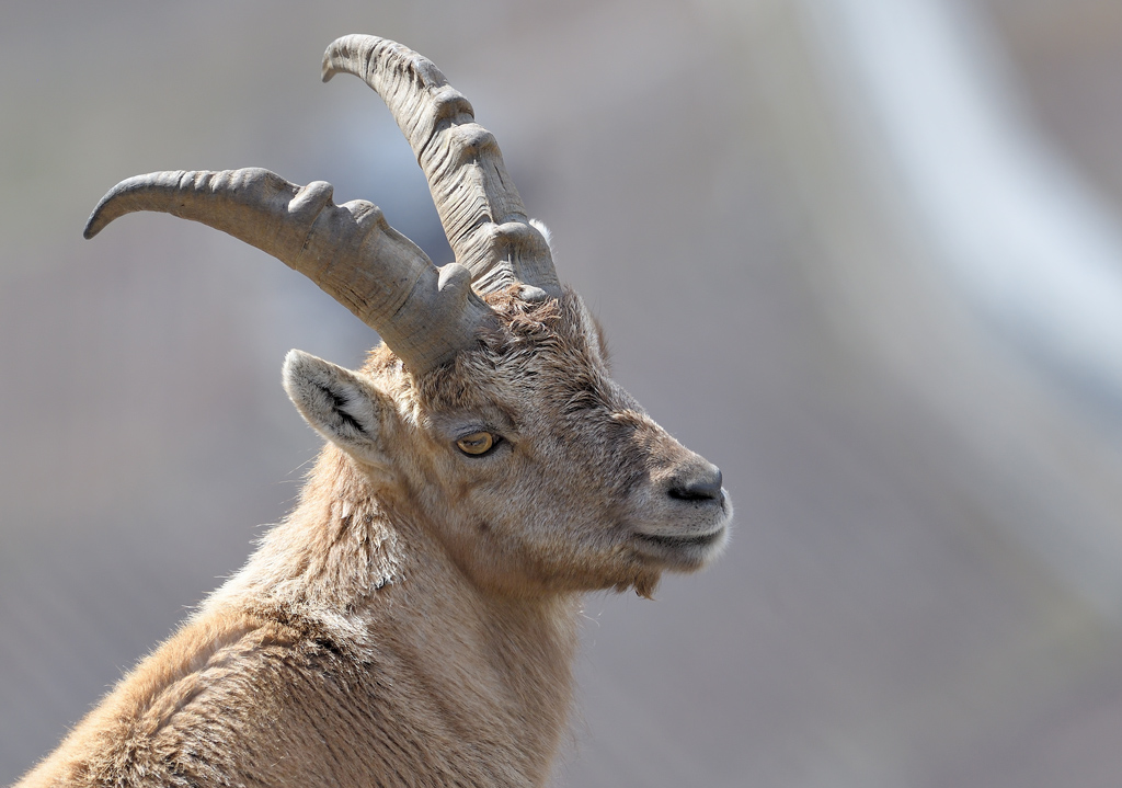 DS5_7257.jpg