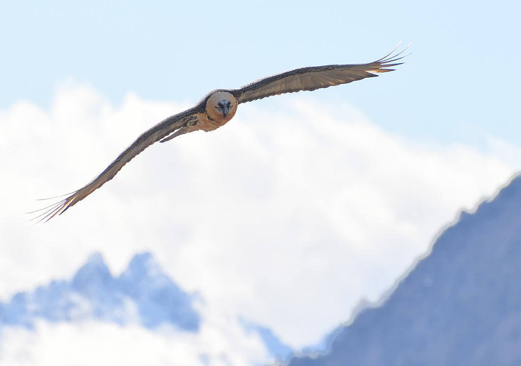 DS5_7273.jpg