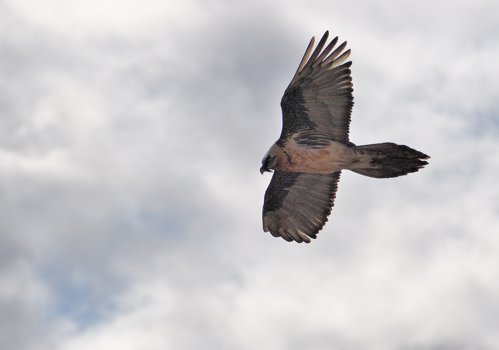 DS5_7275.jpg