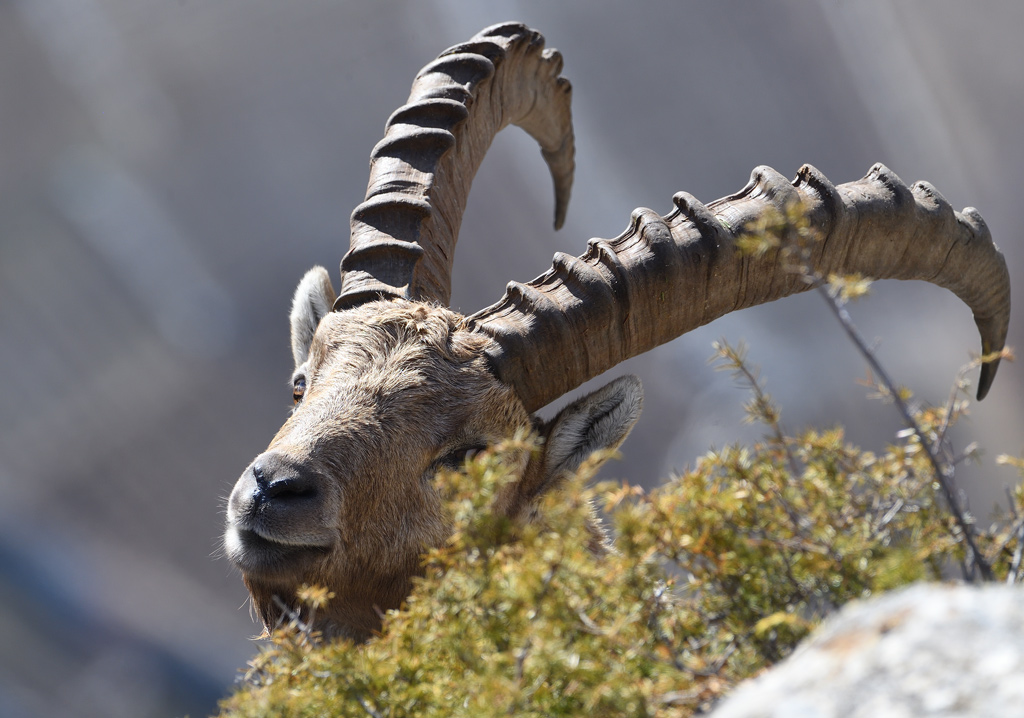 DS5_7292.jpg