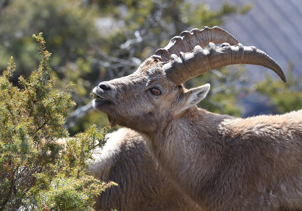 DS5_7310.jpg