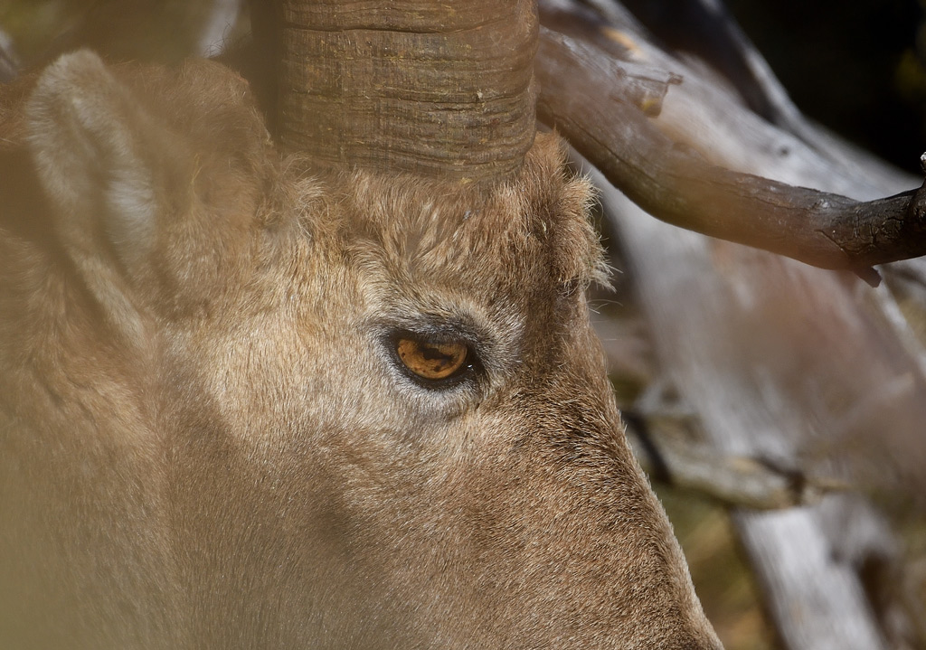 DS5_7326.jpg
