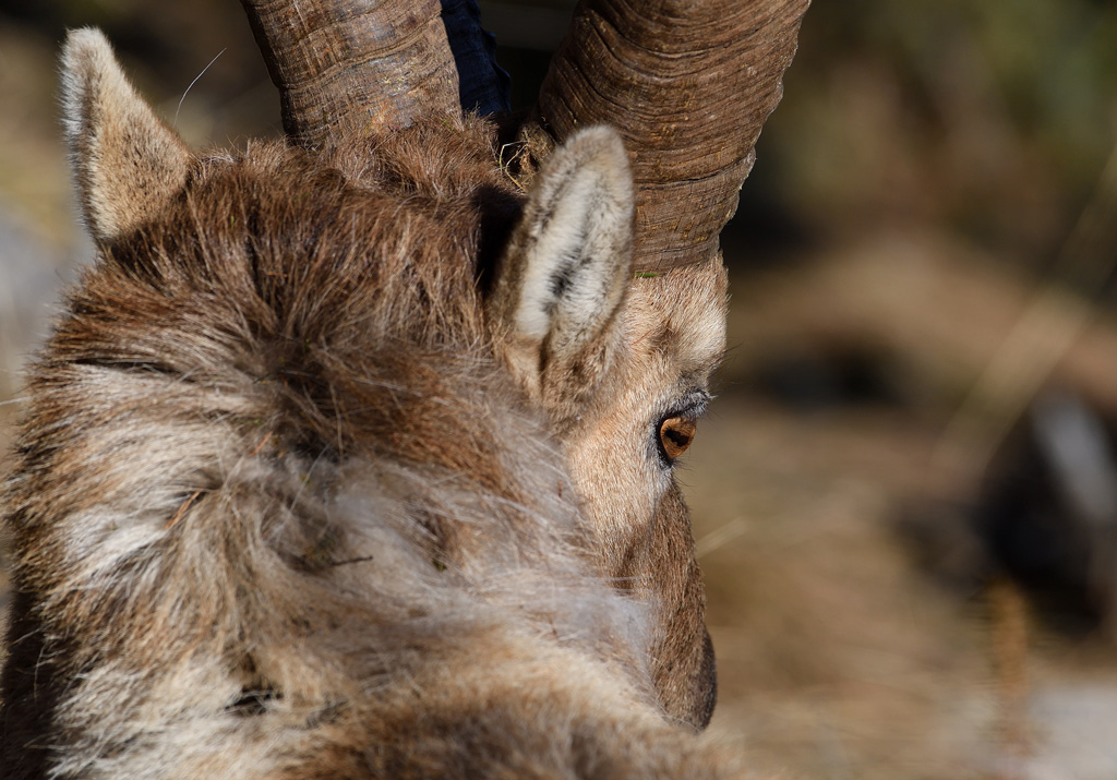DS5_7346.jpg