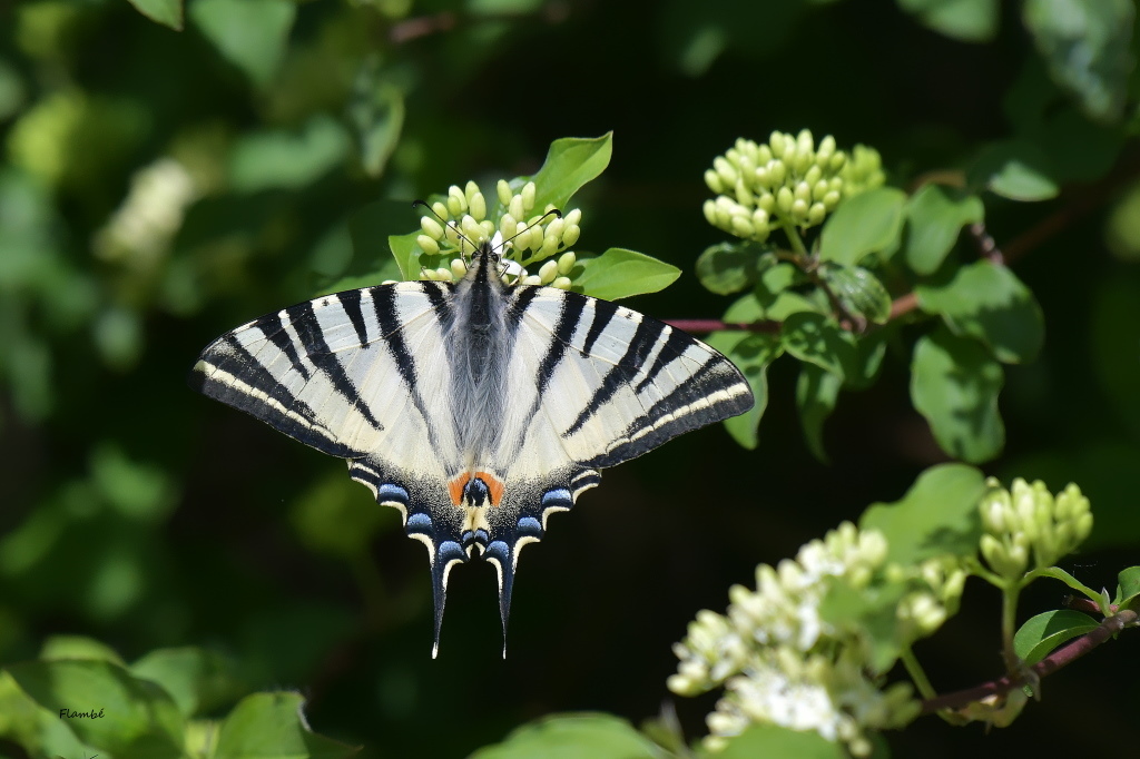 DSC_8969.JPG