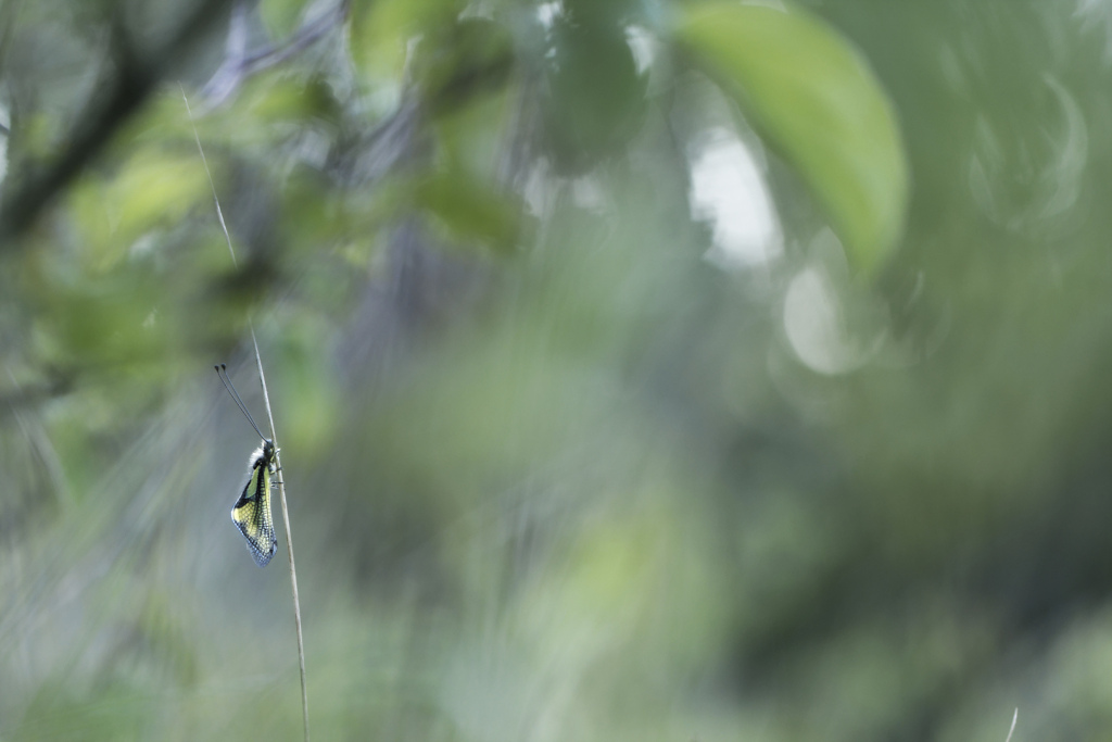 _DSC9193_DxO_DxO_DxO.jpg