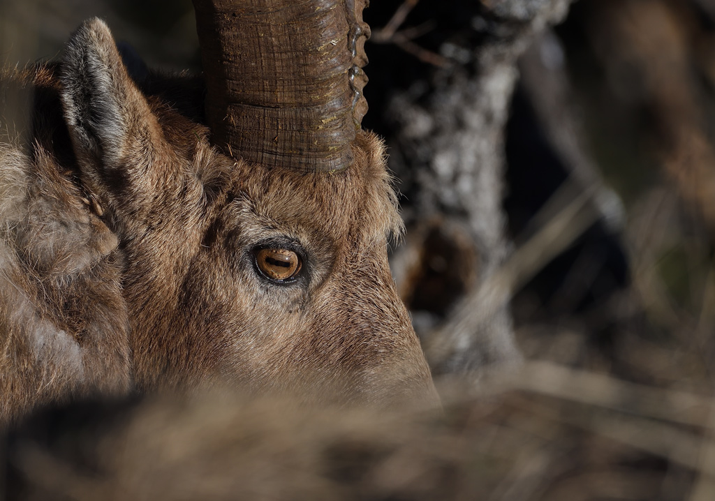 DS5_7363.jpg