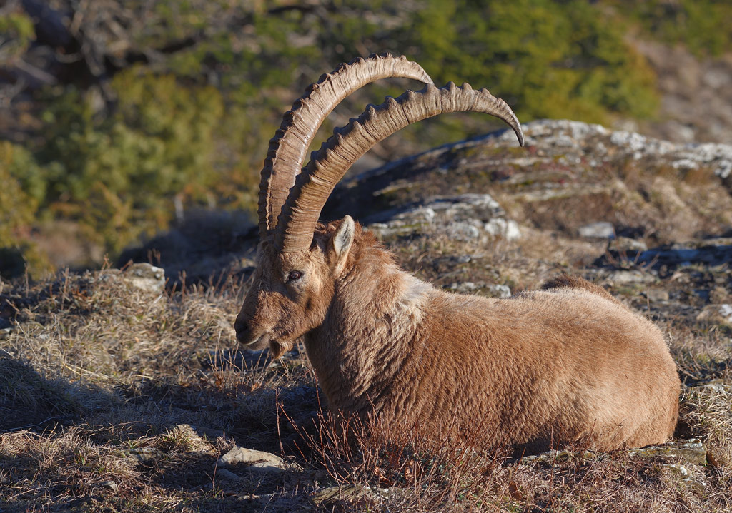 DS5_7367.jpg