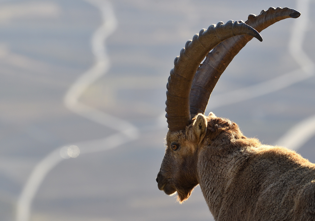 DS5_7371.jpg