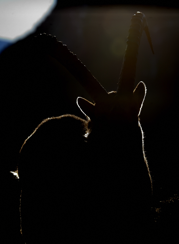 DS5_7374.jpg