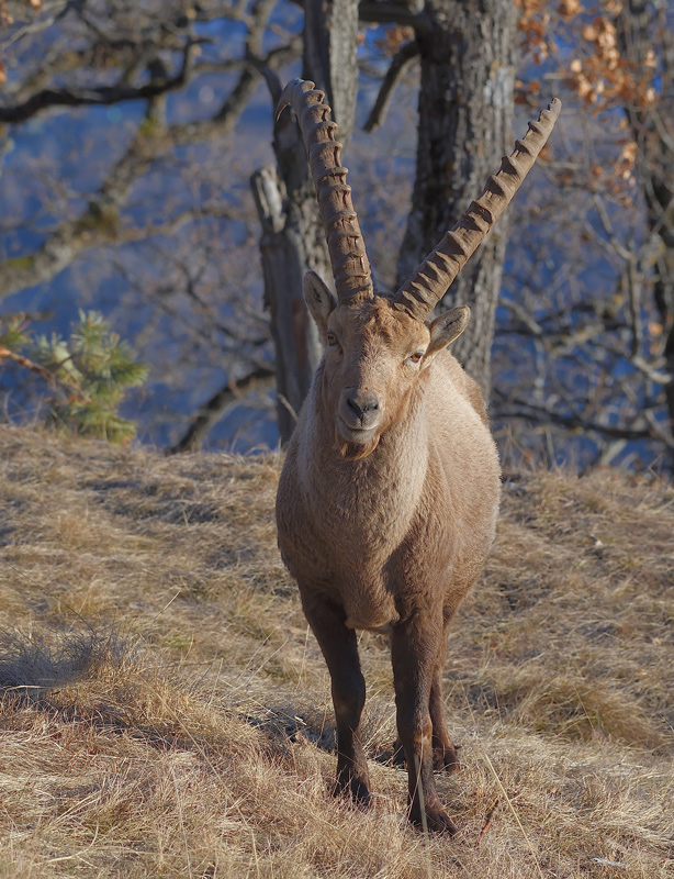 DS5_7384.jpg