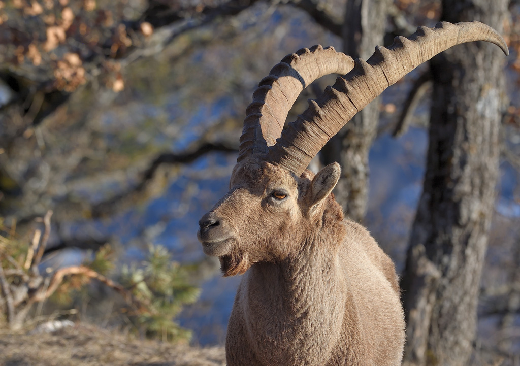 DS5_7385.jpg