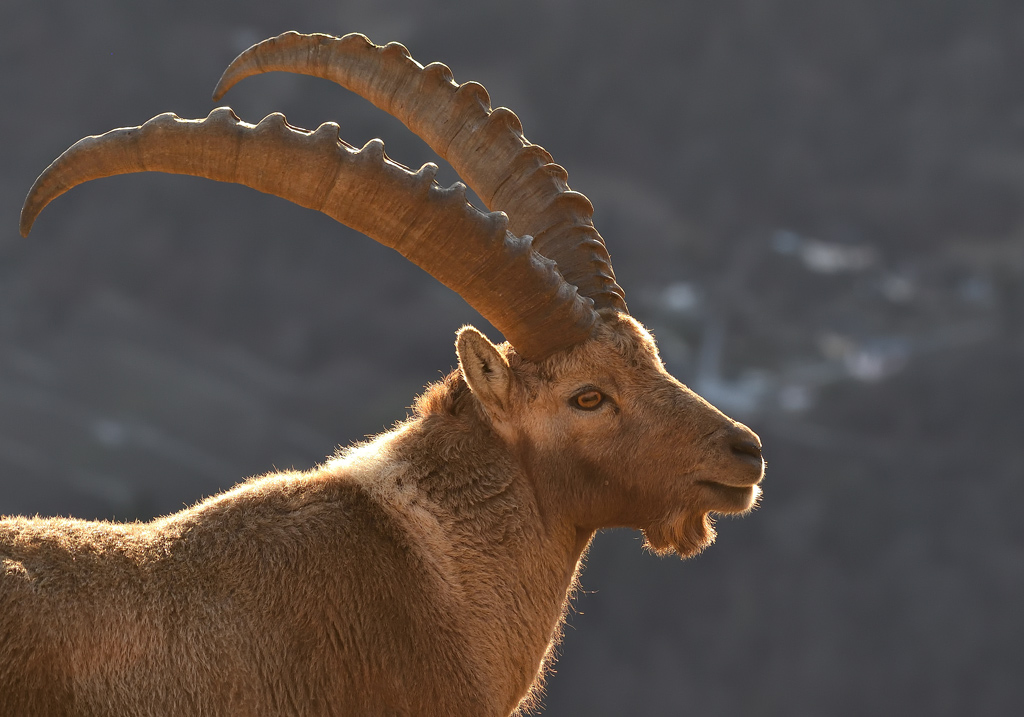 DS5_7395.jpg